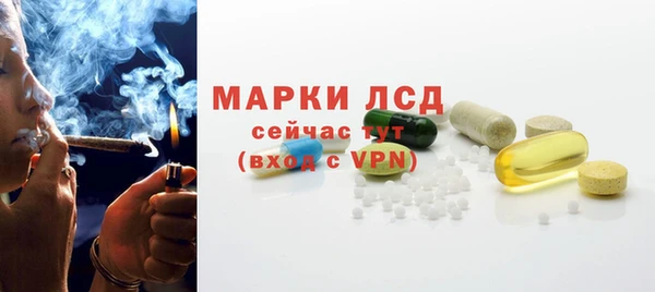 эйфоретик Аркадак