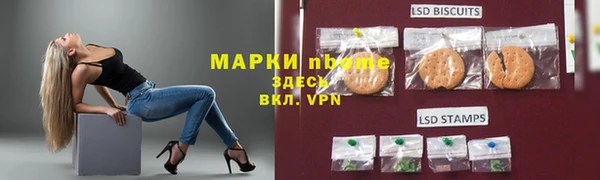 эйфоретик Аркадак