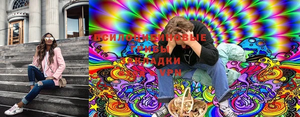 эйфоретик Аркадак